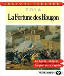 La fortune des Rougon