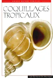 Coquillages tropicaux