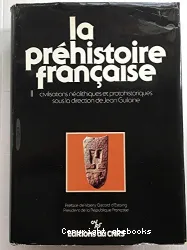 I.1 Les Civilisations néolothiques et protohistoriques de la France