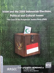 Islam and the 2009 Indonesian Elections, Political and Cultural Issues