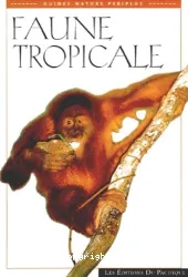 Faune tropicale