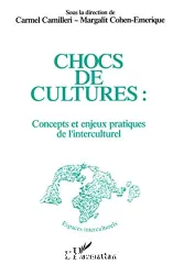 Chocs de cultures : concepts et enjeux pratiques de l'interculturel